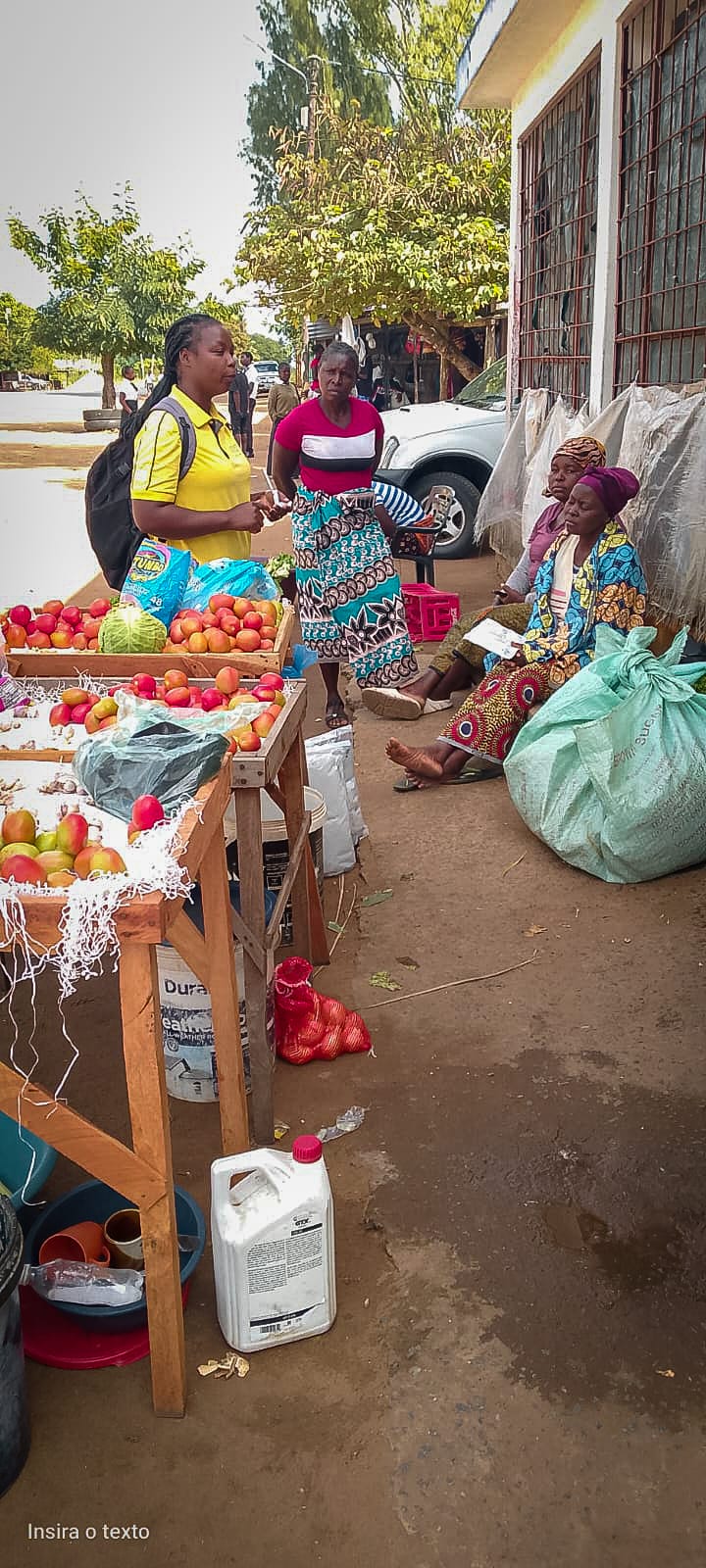 Distribuição de Autotestes em Zavala – Inhambane